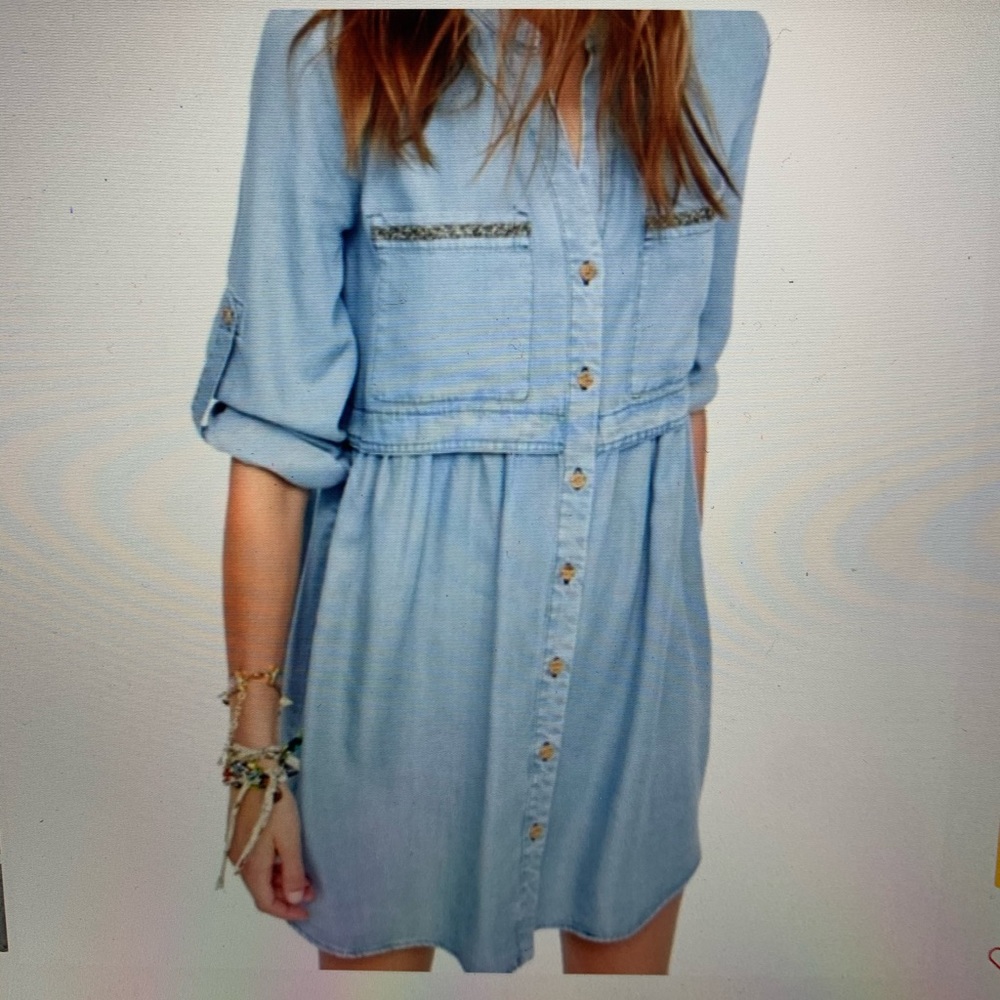 Zara Denim Dress